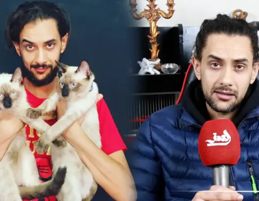 عناية وتزاوج واستجمام.. فندق لاستقبال القطط بمراكش