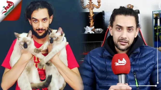 عناية وتزاوج واستجمام.. فندق لاستقبال القطط بمراكش