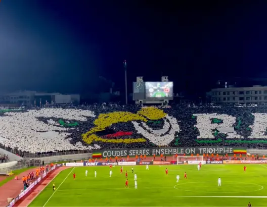 التيفوهات الأربع للنسور الخضراء