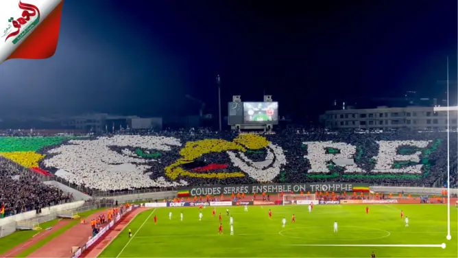 التيفوهات الأربع للنسور الخضراء