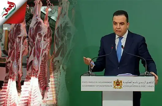 الحكومة تدعو لتسريع وتيرة استيراد العجول
