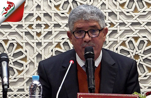 تويزي: إشكاليات تسود المنظومة القانونية للجمعيات تحد من فعالية المجتمع المدني