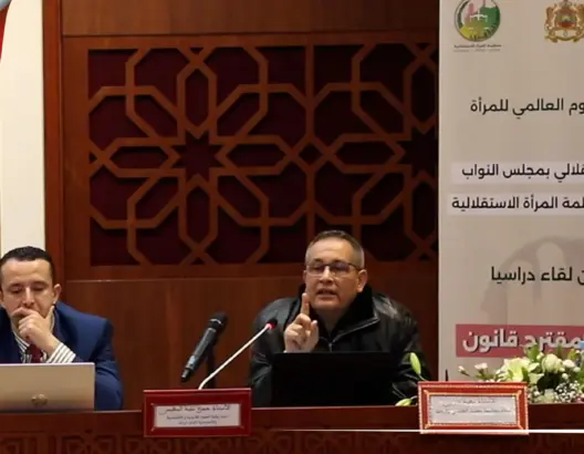بنيس يعدد التمظهرات المجتمعية للتمييز الافتراضي ضد المرأة