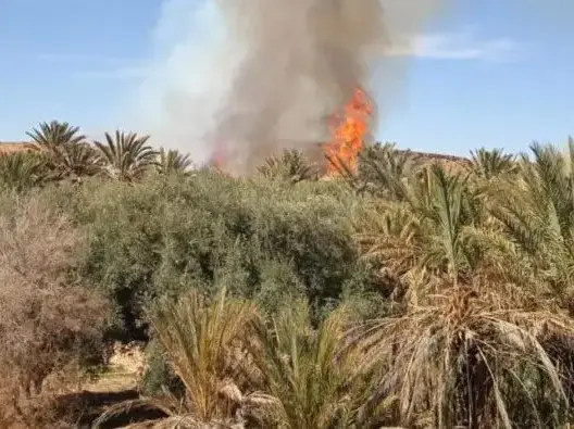حريق بأوفوس نواحي الرشيدية ..ومطالب بتبني استراتيجية متكاملة ضد الحرائق