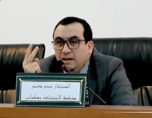 قاض باستئنافية مكناس يحدد دور المسؤولية المدنية في حماية الأطفال غير  الشرعيين (فيديو)