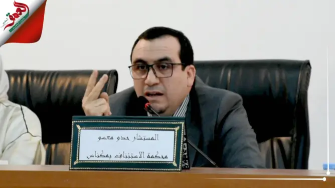 قاض باستئنافية مكناس يحدد دور المسؤولية المدنية في حماية الأطفال غير  الشرعيين (فيديو)