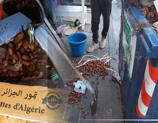 تمر تمور الجزائر