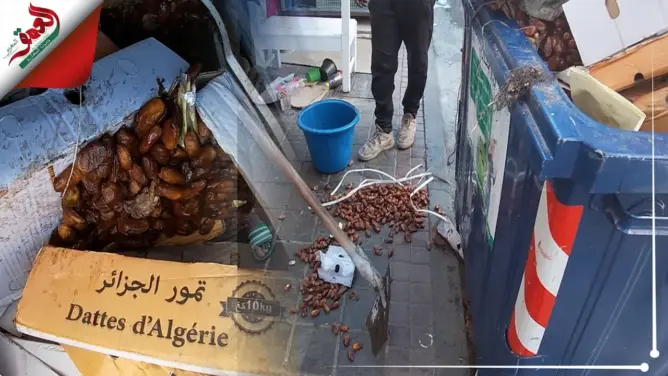 تمر تمور الجزائر