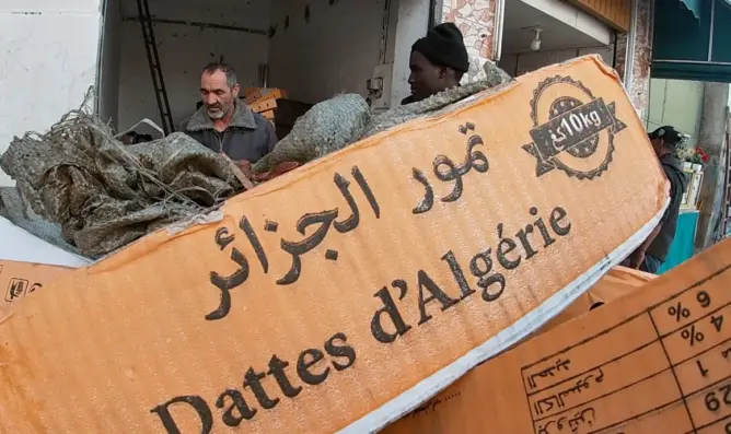 ضبط 500 كيلو من التمور المستوردة من الجزائر “فاسدة” بالدار البيضاء