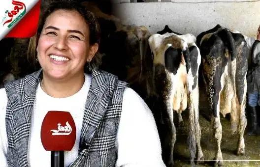 لبنى.. سيدة بفاس اختارت منافسة الرجال في مهنة تربية الأبقار