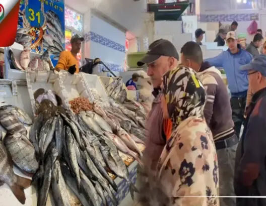 سوق السمك بالجديدة ينتعش قبيل رمضان