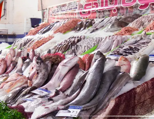 وزير الفلاحة يقر بغلاء الأسماك بالأسواق المغربية وأن هامش ربح الوسطاء وراء ذلك
