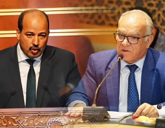 مضيان ينتقد تصريحات ميارة بصفته النقابية ويؤكد تماسك حكومة أخنوش