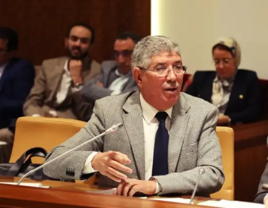 تويزي ينتقد المؤسسات العمومية: غارقة في الديون وما يُرصد لها أكبر مما تنتجه