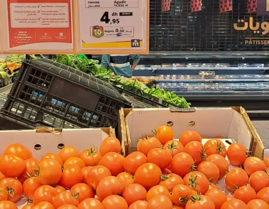 انخفاض ملحوظ في أسعار الطماطم بعد الإجراءات الحكومية