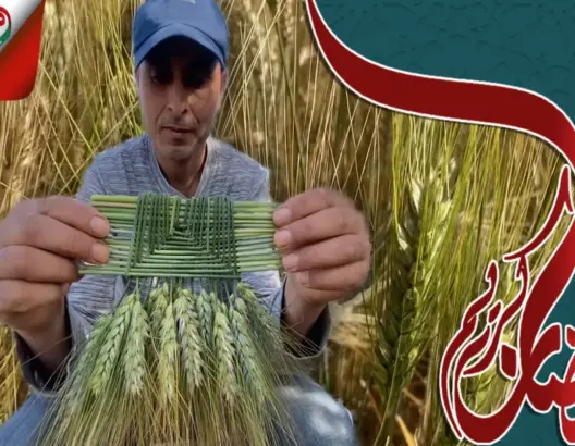 فلاح دكالي يبدع بالسنابل