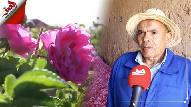 بين الوفرة في الانتاج و الضعف في التسويق والتثمين