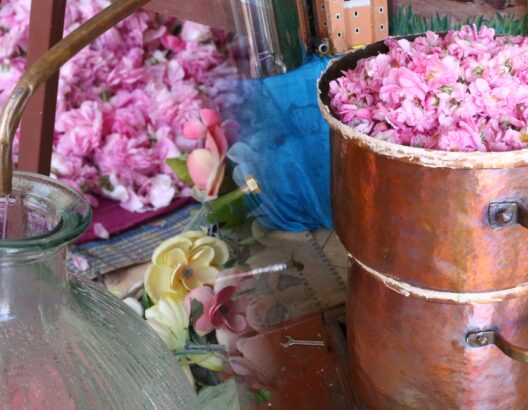 الطريقة التقليدية لتقطير الورد العطري