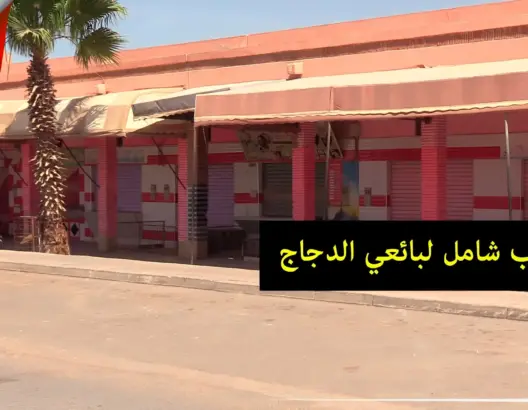 الغلاء يغلق جميع محلات بيع لحم الدجاج بمدينة بيوكرى