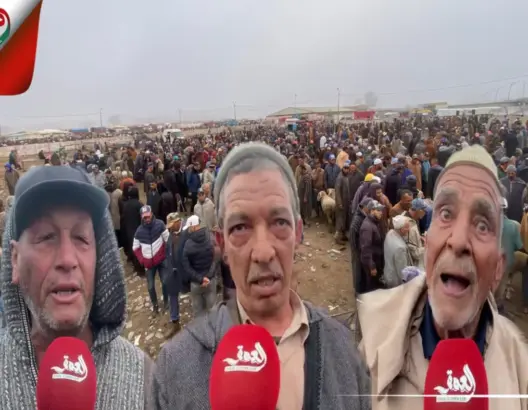 كسابة سيدي بنور ينتفضون ضد قرار ترحيل واحد من أكبر الأسواق بالمغرب