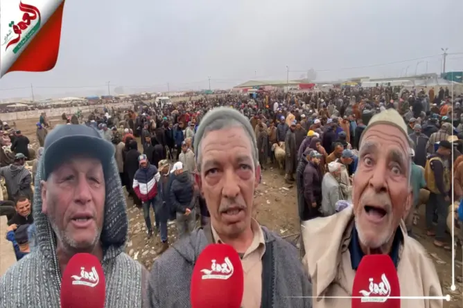 كسابة سيدي بنور ينتفضون ضد قرار ترحيل واحد من أكبر الأسواق بالمغرب