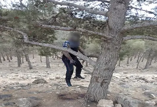 العثور على شاب معلق على شجرة بغابة سيدي معافة بوجدة