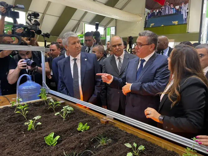 توقعات باستقطاب مليون زائر.. أخنوش يفتتح معرض الفلاحة الدولي بمكناس (فيديو)  