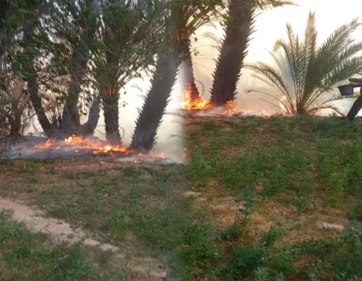 حريق بأوفوس نواحي الرشيدية ومطالب بتبني استراتيجية متكاملة ضد الحرائق