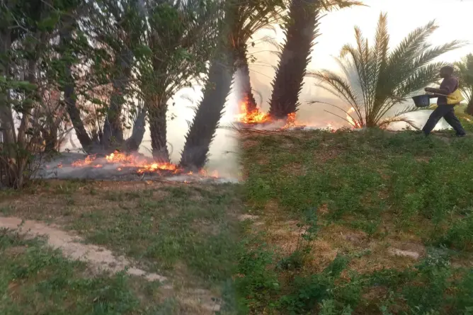حريق بأوفوس نواحي الرشيدية ومطالب بتبني مقاربة استباقية ضد الحرائق