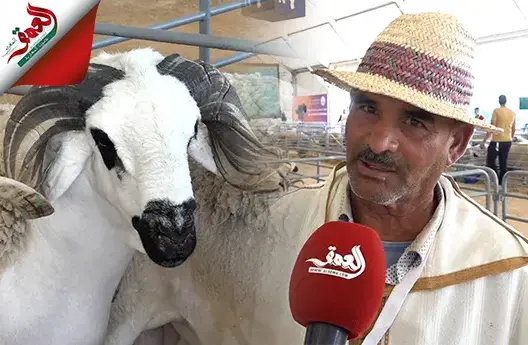كسابة بمعرض الفلاحة يتحدثون عن وفرة الأغنام وغلاء الأعلاف
