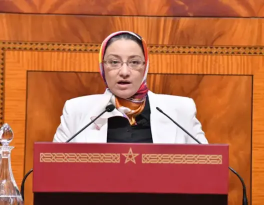 الزخنيني: الضبابية تخيم على الجهة المخول لها تعديل مدونة الأسرة