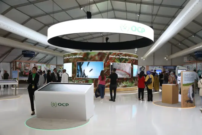 الـOCP تغطي %80 من عجز الأسمدة بإفريقيا لمواجهة تحدي الأمن الغذائي قاريا ودوليا