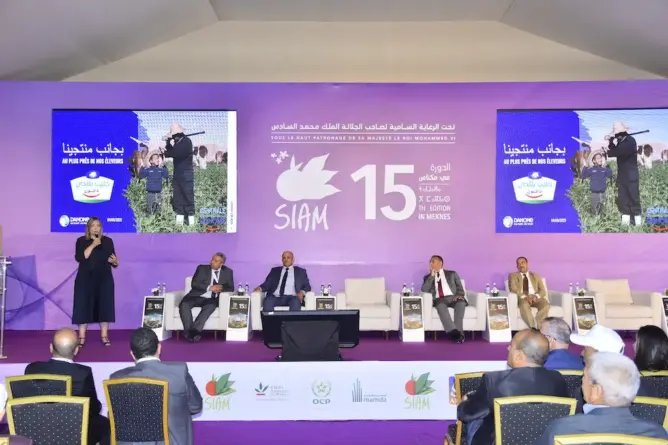 تستهدف 10 آلاف فلاح.. “سنطرال دانون” تطلق المرحلة الثانية من برنامج “حليب بلادي”