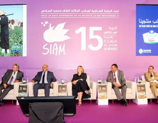 الحكومة تخصص دعما جديدا بـ 6 آلاف درهم لكل بقرة حلوب عند الاستيراد   