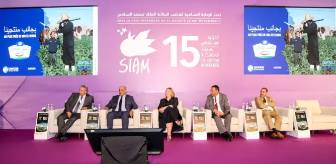 الحكومة تخصص دعما جديدا بـ 6 آلاف درهم لكل بقرة حلوب عند الاستيراد   
