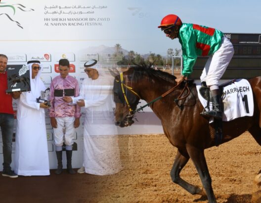 مهرجان منصور بن زايد للخيول العربية الأصيلة