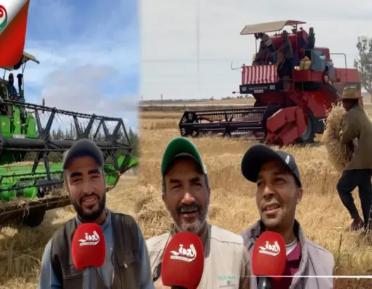 انطلاق موسم الحصاد.. فلاحو دكالة يسجلون تراجع المحصول بـ 40%