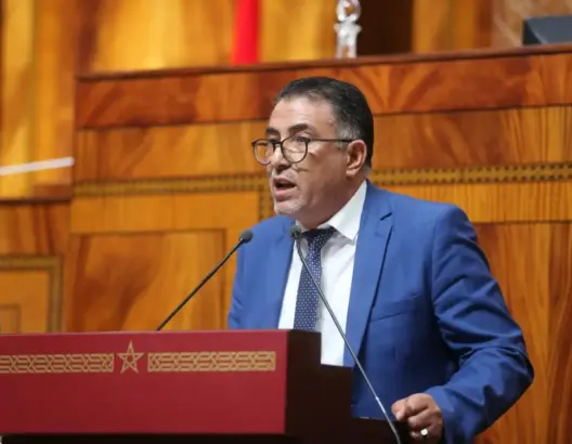تشغيل الأطفال بالمغرب.. حموني: الحكومة تتحمل المسؤولية ويجب على الجمعيات الترافع
