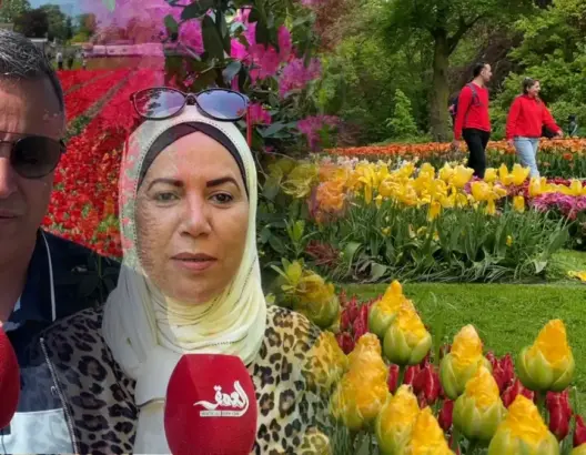 كاميرا "العمق" داخل أكبر حديقة زهور في هولندا والعالم .. تحتوي على أكثر من 7 ملايين زهرة