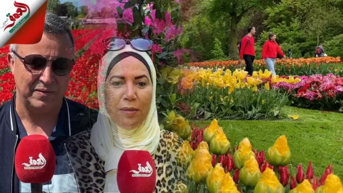 كاميرا "العمق" داخل أكبر حديقة زهور في هولندا والعالم .. تحتوي على أكثر من 7 ملايين زهرة