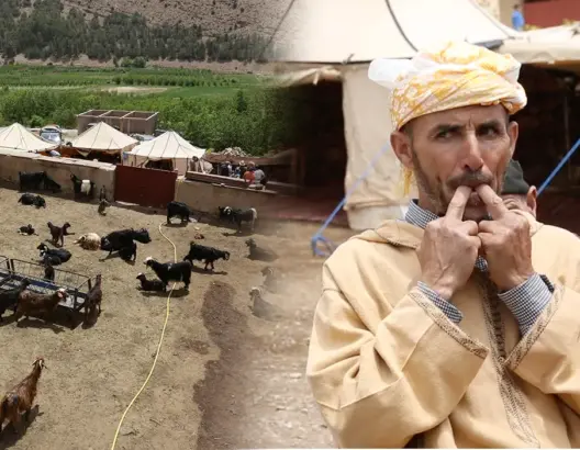 “لغة الصفير” بين ساكنة الجبال .. إرث لامادي مغربي مهدد بالانقراض وباحثة تكشف أسراره (فيديو)