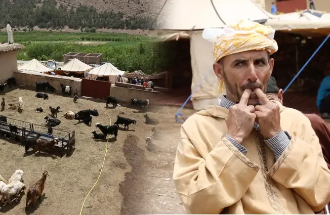 “لغة الصفير” بين ساكنة الجبال .. إرث لامادي مغربي مهدد بالانقراض وباحثة تكشف أسراره (فيديو)