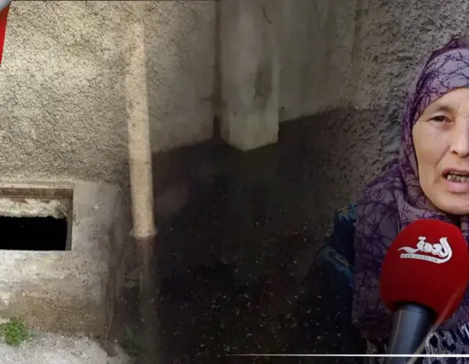 انتشار البعوض بعين السبع