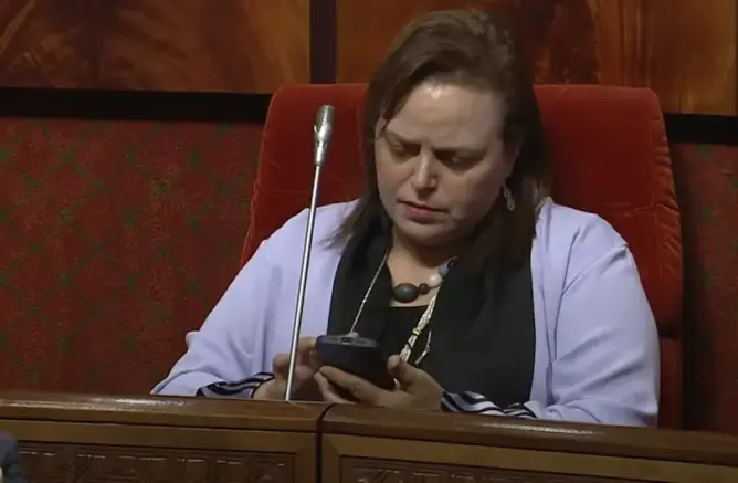جرائم المختلين عقليا في الشوارع تحاصر عواطف حيار بالبرلمان