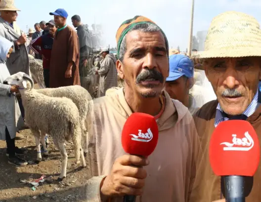 التجار والمواطنون يجمعون على غلاء الأضاحي بسوق الأربعاء بمراكش