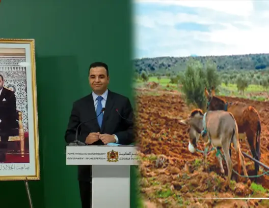 الحكومة: الجفاف سبب الغلاء