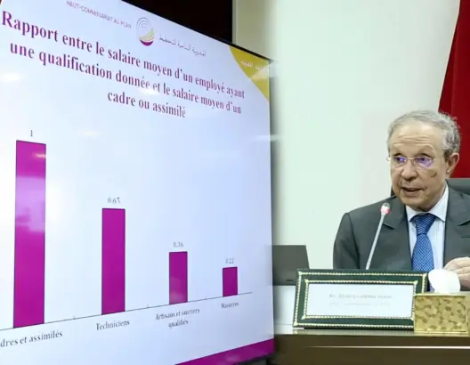 الحليمي يحمل قطاع الفلاحة ضعف الاقتصاد الوطني ويدعو لتغيير نموذج تنميته (فيديو)