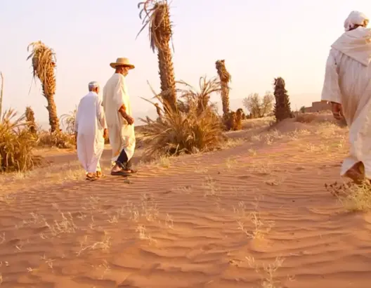 الجفاف بضرب جزءا من واحة فزواطة بزاكورة