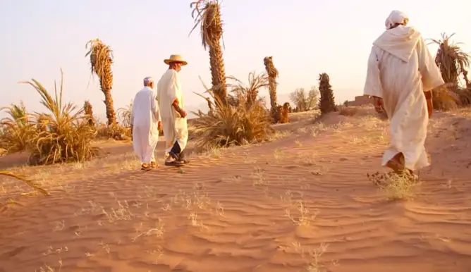 الجفاف بضرب جزءا من واحة فزواطة بزاكورة