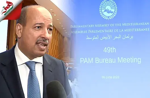 ميارة يبرز أهمية انضمام دول خليجية لبرلمان البحر الأبيض المتوسط